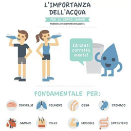 l'acqua un fedele alleato infografica
